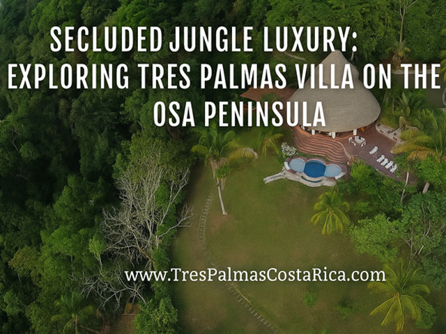 Secluded Jungle Luxury: Exploring Tres Palmas Villa on the Osa Peninsula