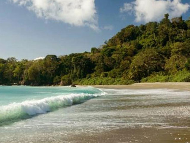 Ultimate Guide to Costa Rica Beachfront Rentals: Finding Your Perfect Coastal Retreat