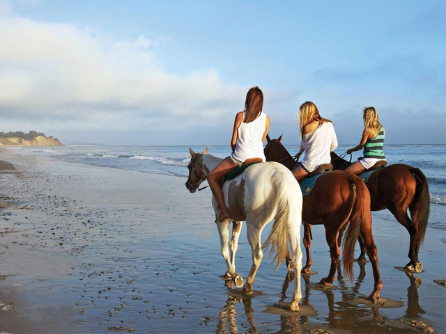 Oceanfront Elegance: Costa Rica Beachfront Rentals for Your Perfect Coastal Retreat