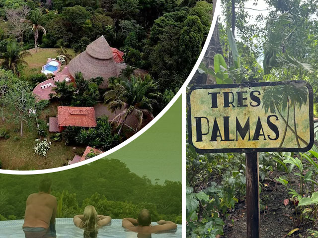 Planning a Multi‑Family Trip? Why Tres Palmas Is Perfect for Groups of Up to 20