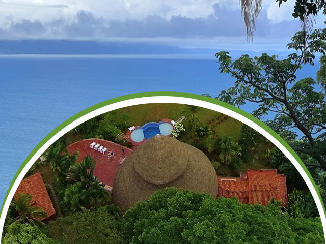 Wildlife, Wellness & Waterfront: Exploring Tres Palmas Costa Rica on the Osa Peninsula