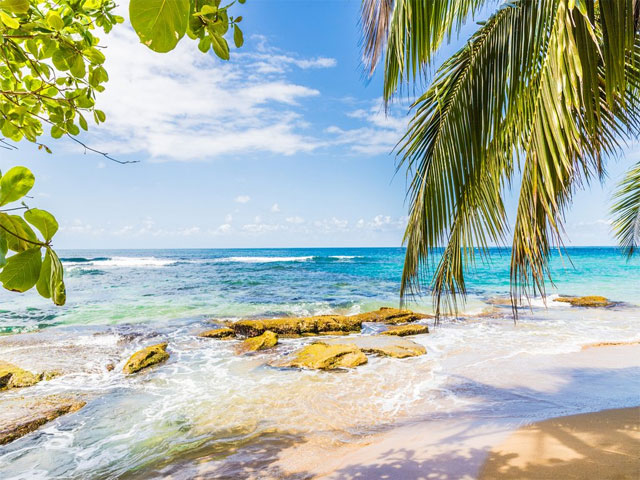 Sun, Sand, and Luxury: Experience Costa Rica's Unforgettable Beachfront Villa Rentals