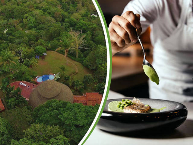 Why Stay in a Villa with a Chef? The Tres Palmas Culinary Experience